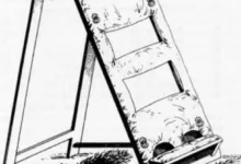 平民女王从伯克利木马看西方spank文化-瘾欢