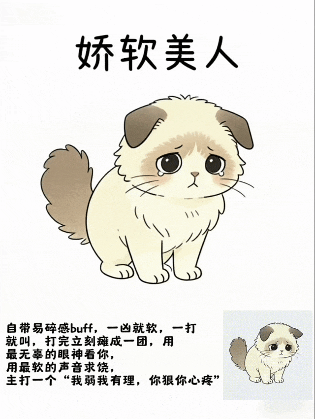 M属性大爆发，原来还能这么欠！