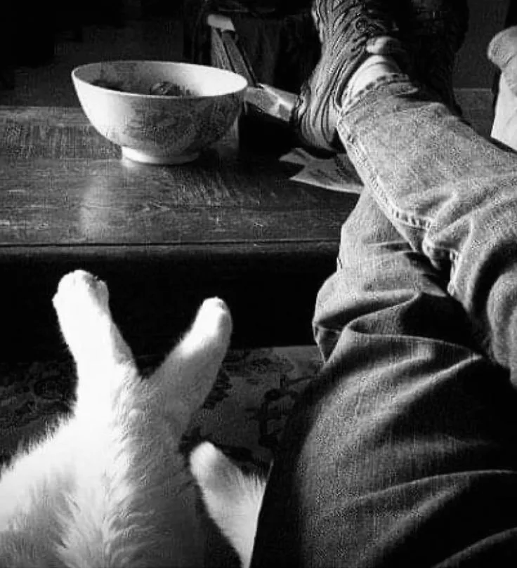 字母圈羞耻、权力与归属