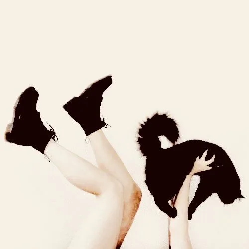 字母圈sub的依赖心理