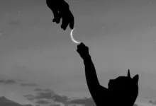 他说自己是S却只想靠在我肩上哭一会-瘾欢