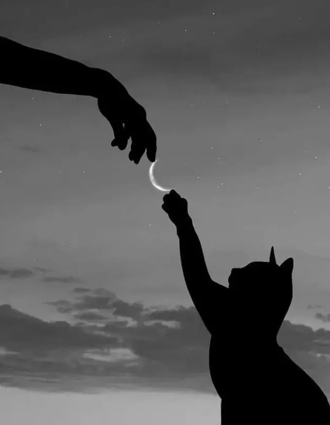 他说自己是S却只想靠在我肩上哭一会