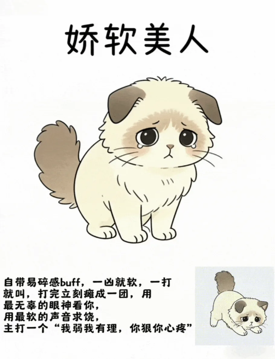 M属性大爆发，原来还能这么欠！