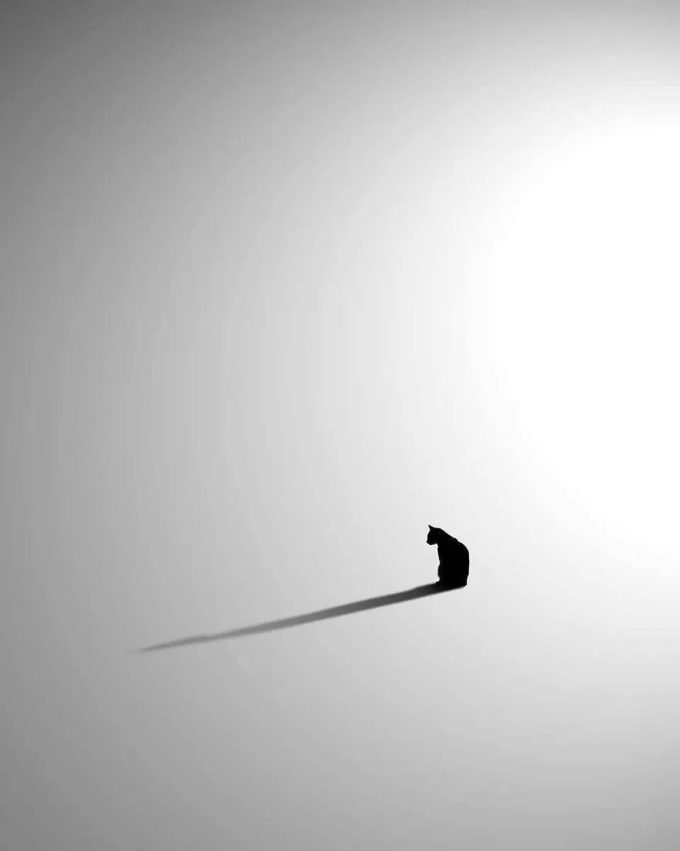 因为SP，绝望的直女，生理性喜欢上了另一个直女