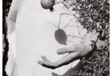 字母圈里Maso多,还是Sub多?-瘾欢