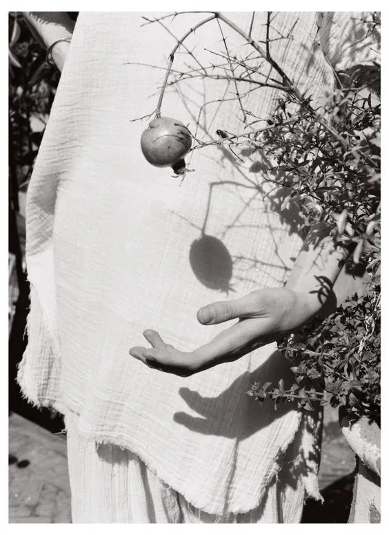 字母圈里Maso多，还是Sub多？