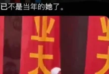 字母圈关系的现实结局-瘾欢