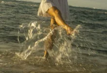 在字母圈我们在对抗的到底是什么？-瘾欢