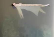 字母圈新手如何保护自己？避雷攻略-瘾欢