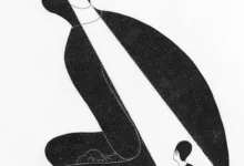 小众圈子为什么喜欢SP却又瞧不起自己？-瘾欢