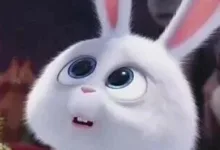 “针刺滚轮”简史_(:з」∠)_-瘾欢