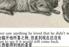 字母圈里为什么很多人真正迷恋的是驯化，而不是占有？-瘾欢