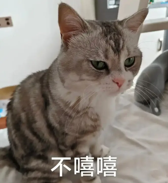 各位s/m给我好好写好友申请啊!!! 各位s/m给我好好写好友申请啊!!!