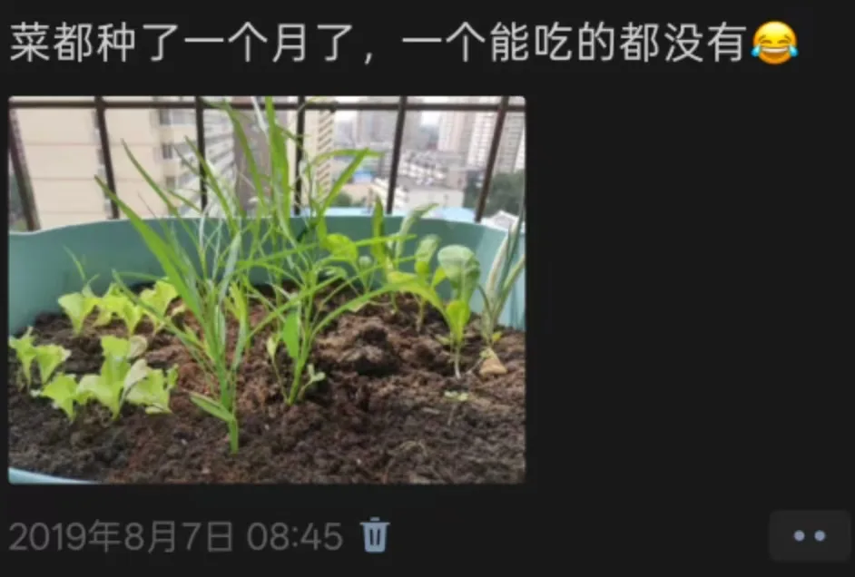 决定和自己的S订婚,是一种什么样的体验? 决定和自己的S订婚,是一种什么样的体验?