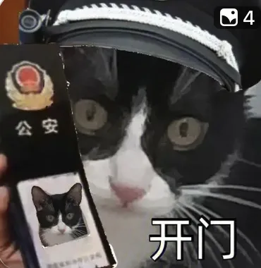 如何在字母圈约绳/约实践中自保？