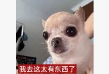 为什么触碰得更轻,反应反而更大?-瘾欢