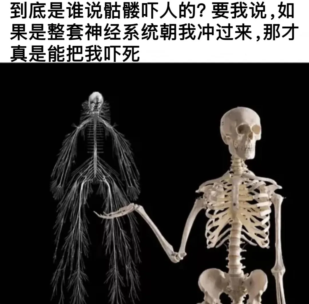 为什么触碰得更轻,反应反而更大? 为什么触碰得更轻,反应反而更大?